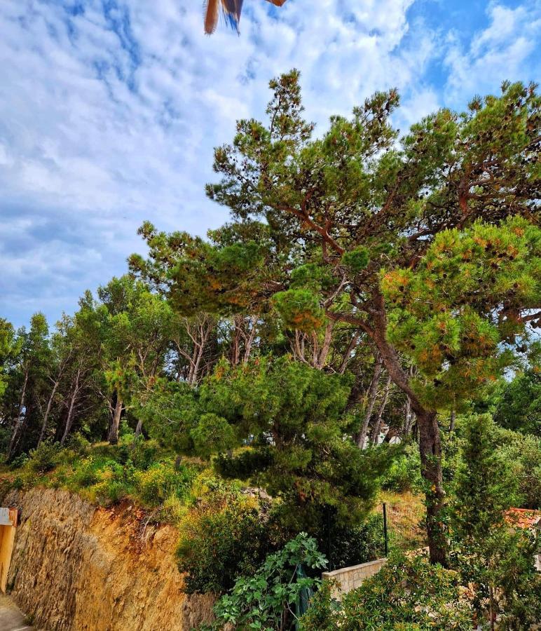 Apartman Mar18 Makarska Dış mekan fotoğraf